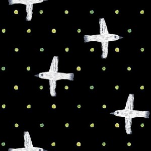 oe201bk2_winter_birds_black