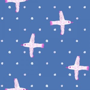 oe201sk3_winter_birds_sky