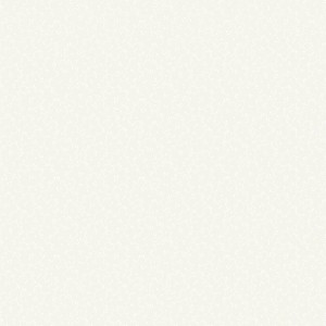 rj501wo3_peppered_popcorn_white_on_off_white