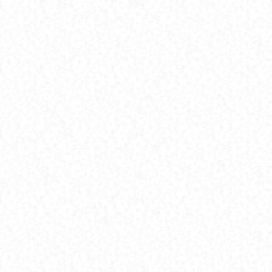 rj501ww1_peppered_popcorn_white_on_white