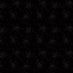 rj503bb4_calla_lily_black_on_black