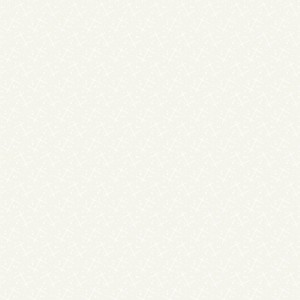 rj504wo3_jacks_white_on_off_white