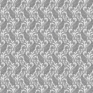 rj505bw2_paisley_black_white