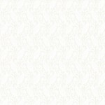 rj505wo3_paisley_white_on_off_white