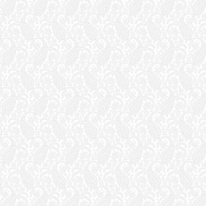 rj505ww1_paisley_white_on_white