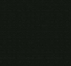 rj506bb3_lots_of_dots_black_on_black