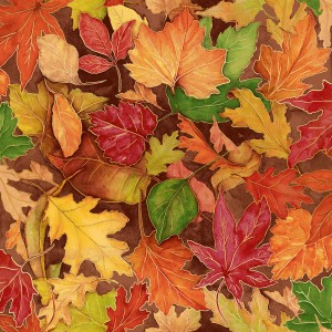 rj701am1m_colorful_foliage_amber