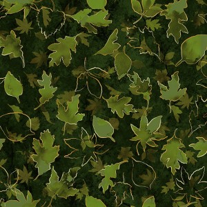 rj702fo1m_turning_over_a_new_leaf_forest