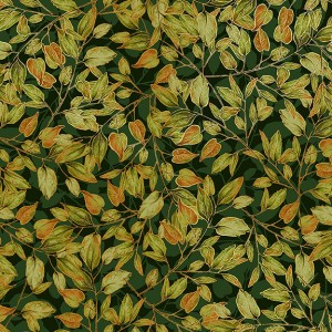 rj703fo1m_dancing_leaves_forest