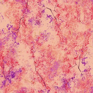 rj704pe3m_fall_colors_peach