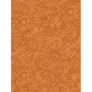 JB202-KU6 Daisies Kumquat