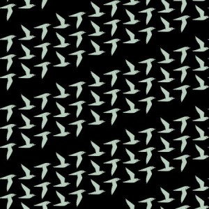 lv103bk2_fly_along_black