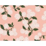 rp201bl5l_hydrangea_blush