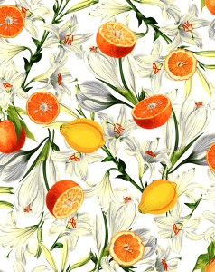 rj1400va1_lilies_with_citrus_vanilla