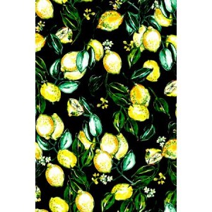 rj1401bk2_lemons_black