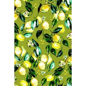 rj1401ol1_lemons_olive