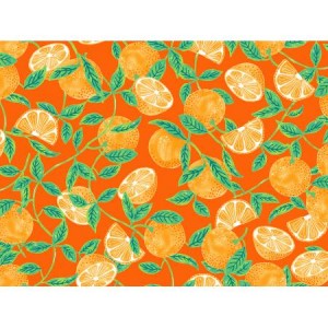 rj1402pe1_tangerines_persimmon