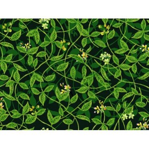rj1404gr2_leaves_green