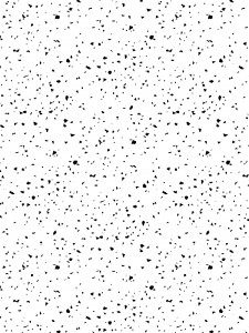 rj1410bw6_confetti_black_on_white