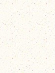 rj1410pc3_confetti_pastel_on_cream