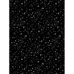 rj1410wb5_confetti_white_on_black