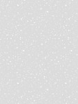 rj1410wg7_confetti_white_on_gray