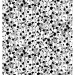 rj1420bw2_poppy_flower_black_on_white