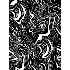 rj1423bw2_in_motion_black_on_white