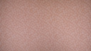 3219009_deconstructed_dandelions_blush_p28