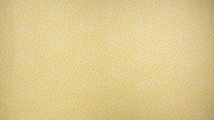 3222008_square_dance_butter_p28