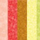 hopscotch_header