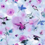 rj1201sk2_hummingbird_flight_sky