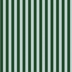 rp309mi1_cabana_stripe_mint