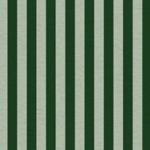 rp309mi4c_cabana_stripe_mint