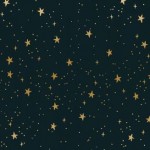 rp310bk2m_stars_black