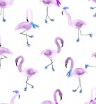 cc202ic2u_freestyle_flamingo_icicle