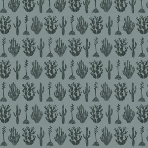am102jt2_desert_joshua_tree