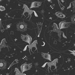 ee100ca4_astro_pegasus_carbon