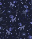 ee100mb2_astro_pegasus_midnight_blue