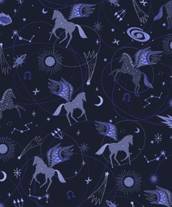 ee100mb2_astro_pegasus_midnight_blue