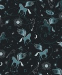ee100te1_astro_pegasus_teal