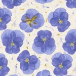 rj2401tb1_pansy_paper_true_blue