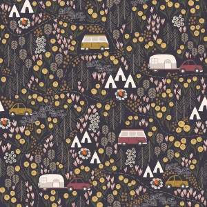 mt100mi3_campfire_night_midnight