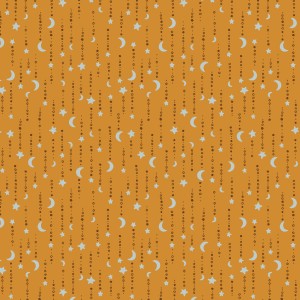 rj5202so1_wish_for_the_stars_solar