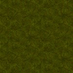 jb901fe3_scroll_fern