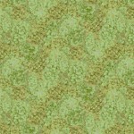 jb904ce3_hydrangea_celadon