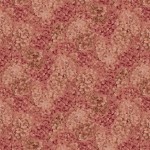 jb904ro4_hydrangea_rose