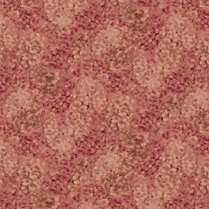 jb904ro4_hydrangea_rose