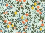 rp900mi1_citrus_grove_mint