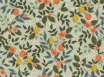 rp900mi4uc_citrus_grove_mint